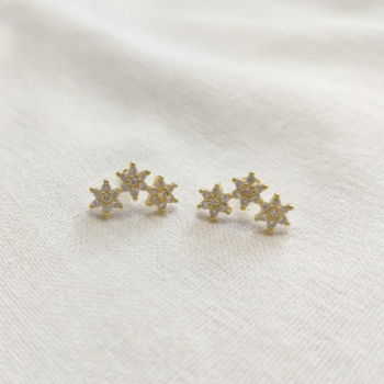 Stellar Bloom Climbers SB-002-WZ